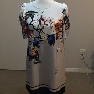Beautiful spring floral shift dress.  BNWT Zara